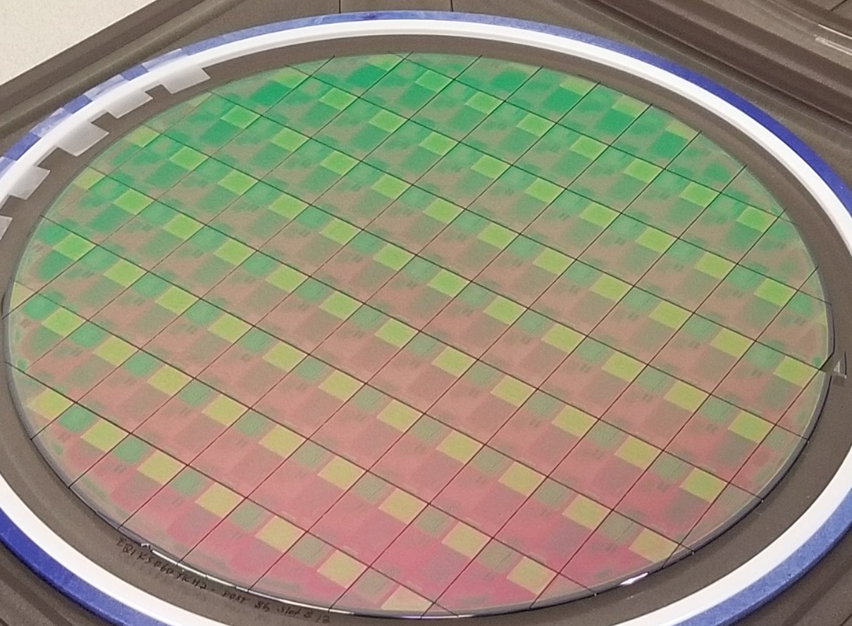 Photonic device wafer in a fabrication carrier